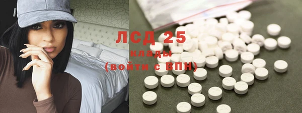 прущий лед Алзамай