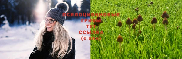 герыч Алексин