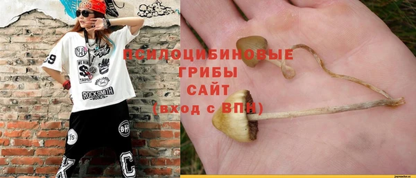 амф Алексеевка