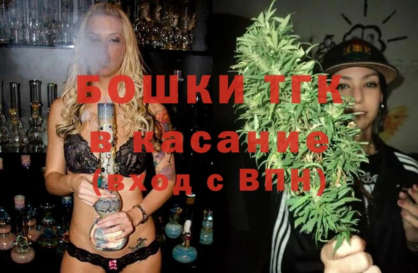 прущий лед Алзамай