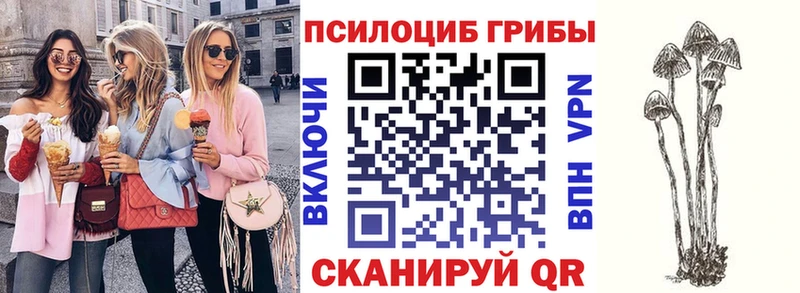 Псилоцибиновые грибы мухоморы  Лагань 